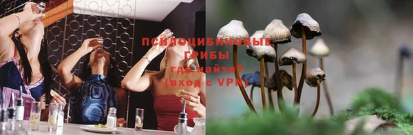 ALPHA PVP Алексин