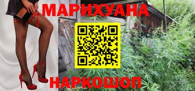 сатива Комсомольск-на-Амуре