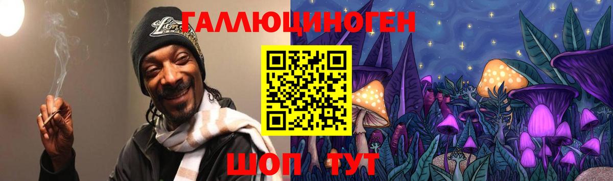 Псилоцибиновые грибы GOLDEN TEACHER  Вход с VPN  Новороссийск 